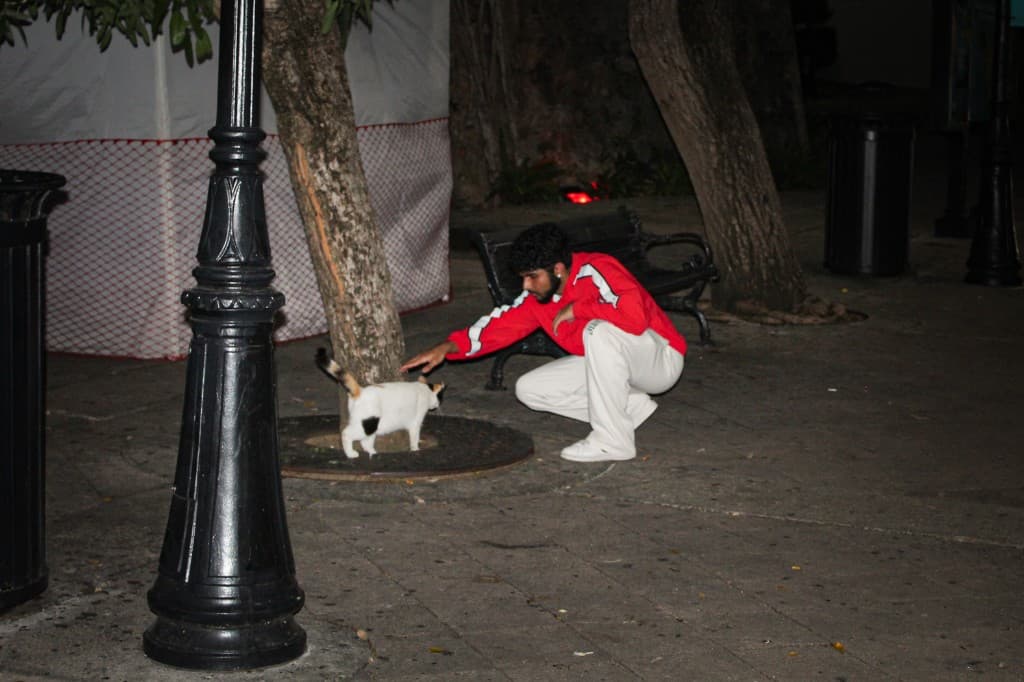 Dhruv Hegde — candid night photo petting a cat in Ann Arbor